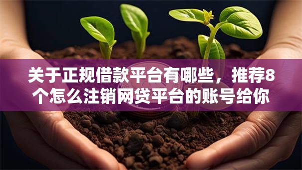 关于正规借款平台有哪些,推荐8个怎么注销网贷平台的账号给你 关于正规借款平台有哪些,推荐8个怎么注销网贷平台的账号给你