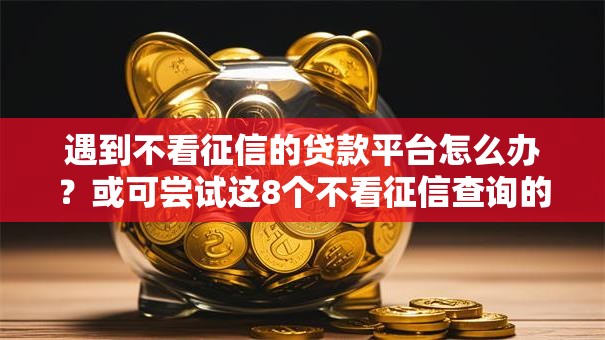 遇到不看征信的贷款平台怎么办？或可尝试这8个不看征信查询的平台