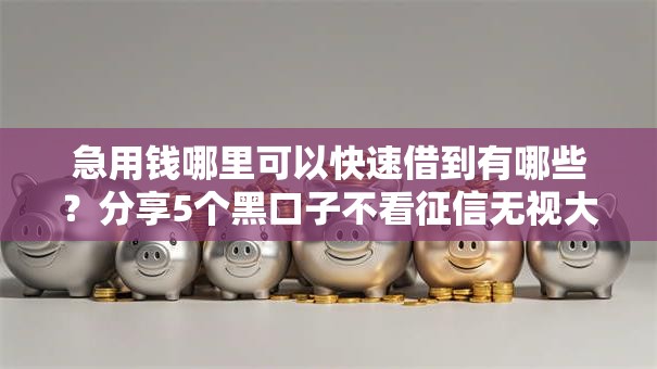 急用钱哪里可以快速借到有哪些?分享5个黑口子不看征信无视大数据 急用钱哪里可以快速借到有哪些?分享5个黑口子不看征信无视大数据