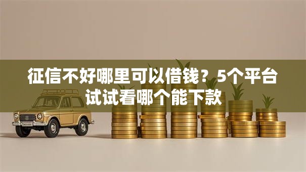 征信不好哪里可以借钱？5个平台试试看哪个能下款