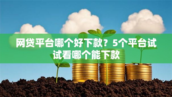 网贷平台哪个好下款?5个平台试试看哪个能下款 网贷平台哪个好下款?5个平台试试看哪个能下款