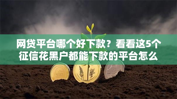 网贷平台哪个好下款？看看这5个征信花黑户都能下款的平台怎么样