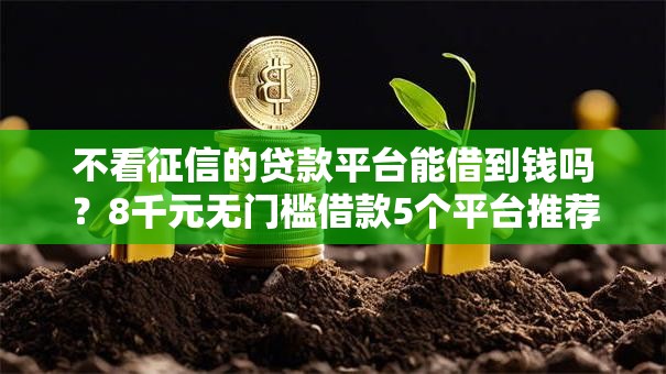 不看征信的贷款平台能借到钱吗?8千元无门槛借款5个平台推荐 不看征信的贷款平台能借到钱吗?8千元无门槛借款5个平台推荐