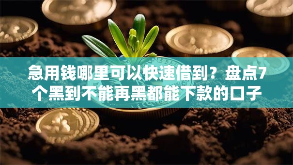 急用钱哪里可以快速借到?盘点7个黑到不能再黑都能下款的口子给你参考 急用钱哪里可以快速借到?盘点7个黑到不能再黑都能下款的口子给你参考