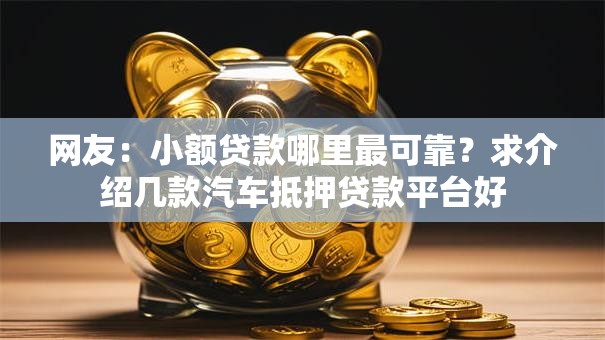 网友：小额贷款哪里最可靠？求介绍几款汽车抵押贷款平台好