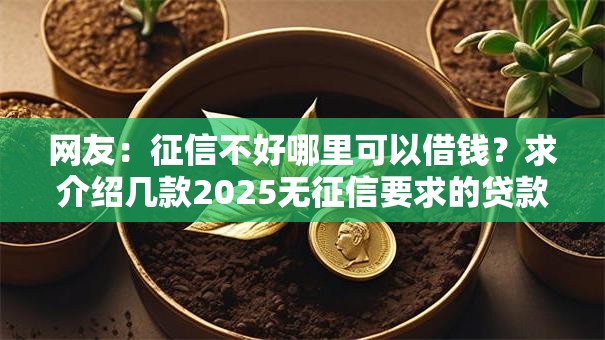 网友：征信不好哪里可以借钱？求介绍几款2025无征信要求的贷款平台