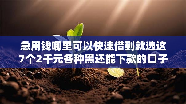急用钱哪里可以快速借到就选这7个2千元各种黑还能下款的口子 急用钱哪里可以快速借到就选这7个2千元各种黑还能下款的口子