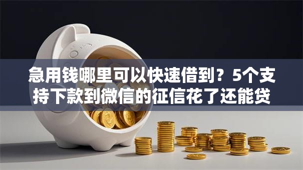 急用钱哪里可以快速借到？5个支持下款到微信的征信花了还能贷款的正规平台
