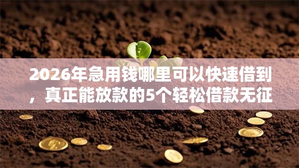2026年急用钱哪里可以快速借到，真正能放款的5个轻松借款无征信记录的平台推荐