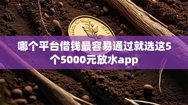 哪个平台借钱最容易通过就选这5个5000元放水app
