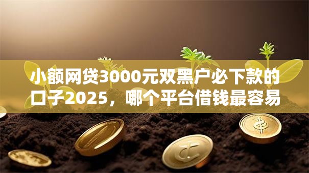 小额网贷3000元双黑户必下款的口子2025,哪个平台借钱最容易通过的7个平台介绍 小额网贷3000元双黑户必下款的口子2025,哪个平台借钱最容易通过的7个平台介绍
