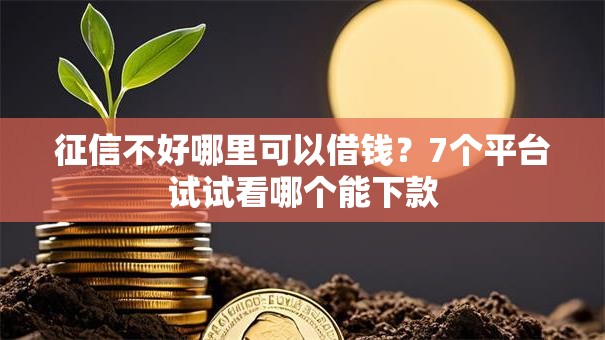 征信不好哪里可以借钱?7个平台试试看哪个能下款 征信不好哪里可以借钱?7个平台试试看哪个能下款