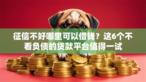 征信不好哪里可以借钱？这6个不看负债的贷款平台值得一试