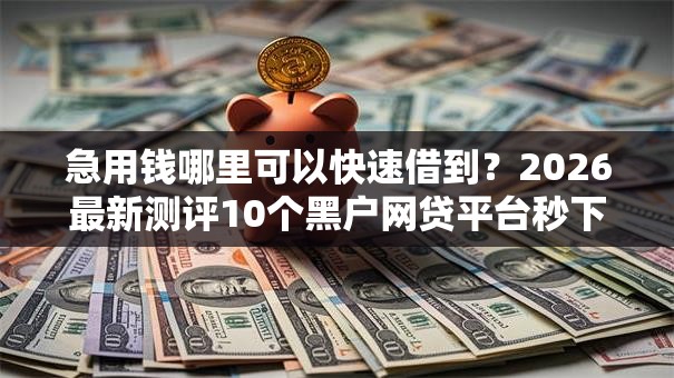 急用钱哪里可以快速借到?2026最新测评10个黑户网贷平台秒下款简单 急用钱哪里可以快速借到?2026最新测评10个黑户网贷平台秒下款简单