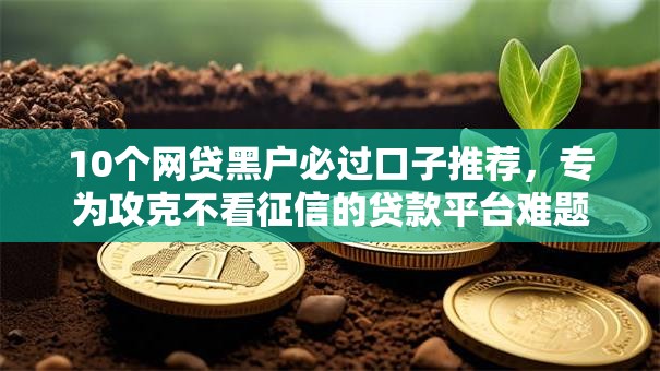 10个网贷黑户必过口子推荐，专为攻克不看征信的贷款平台难题
