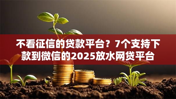 不看征信的贷款平台?7个支持下款到微信的2025放水网贷平台 不看征信的贷款平台?7个支持下款到微信的2025放水网贷平台