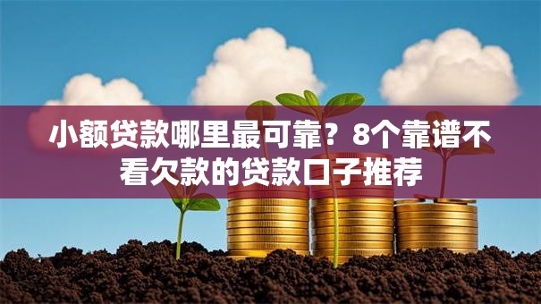 小额贷款哪里最可靠？8个靠谱不看欠款的贷款口子推荐