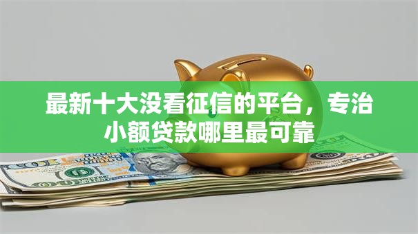 最新十大没看征信的平台，专治小额贷款哪里最可靠