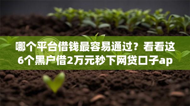 哪个平台借钱最容易通过？看看这6个黑户借2万元秒下网贷口子app怎么样
