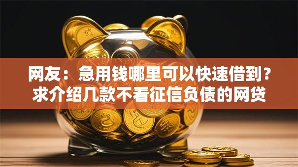网友:急用钱哪里可以快速借到?求介绍几款不看征信负债的网贷百分百下款软件 网友:急用钱哪里可以快速借到?求介绍几款不看征信负债的网贷百分百下款软件