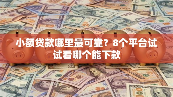 小额贷款哪里最可靠？8个平台试试看哪个能下款