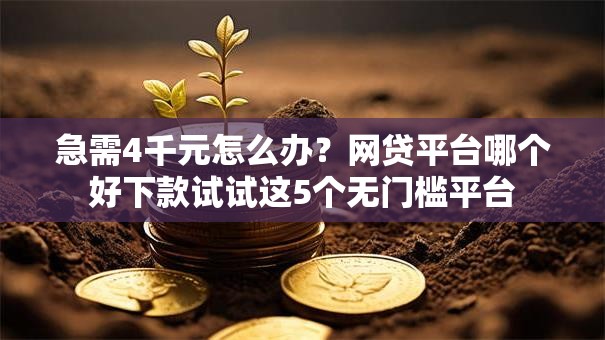 急需4千元怎么办?网贷平台哪个好下款试试这5个无门槛平台 急需4千元怎么办?网贷平台哪个好下款试试这5个无门槛平台
