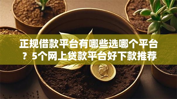 正规借款平台有哪些选哪个平台?5个网上贷款平台好下款推荐 正规借款平台有哪些选哪个平台?5个网上贷款平台好下款推荐