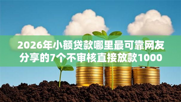 2026年小额贷款哪里最可靠网友分享的7个不审核直接放款1000的口子我觉得不错！