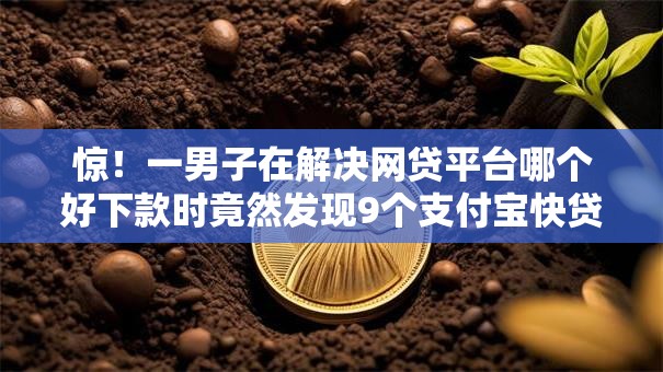 惊!一男子在解决网贷平台哪个好下款时竟然发现9个支付宝快贷轻松借平台,事后分享了出来 惊!一男子在解决网贷平台哪个好下款时竟然发现9个支付宝快贷轻松借平台,事后分享了出来