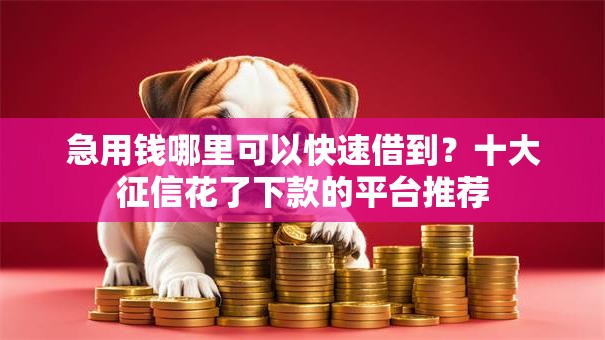 急用钱哪里可以快速借到?十大征信花了下款的平台推荐 急用钱哪里可以快速借到?十大征信花了下款的平台推荐