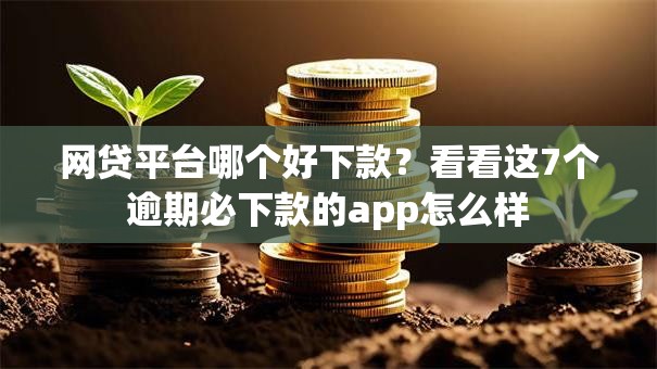 网贷平台哪个好下款？看看这7个逾期必下款的app怎么样