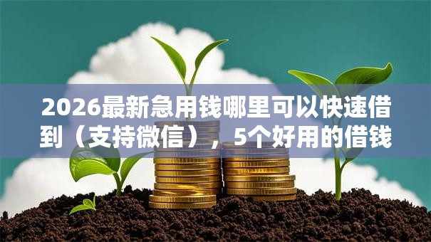 2026最新急用钱哪里可以快速借到（支持微信），5个好用的借钱平台无私分享