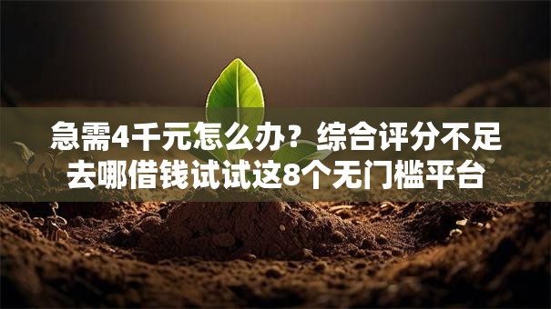 急需4千元怎么办？综合评分不足去哪借钱试试这8个无门槛平台