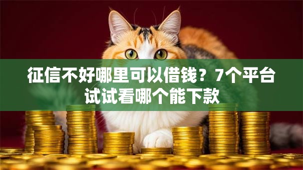 征信不好哪里可以借钱?7个平台试试看哪个能下款 征信不好哪里可以借钱?7个平台试试看哪个能下款