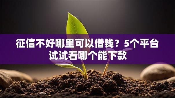 征信不好哪里可以借钱？5个平台试试看哪个能下款
