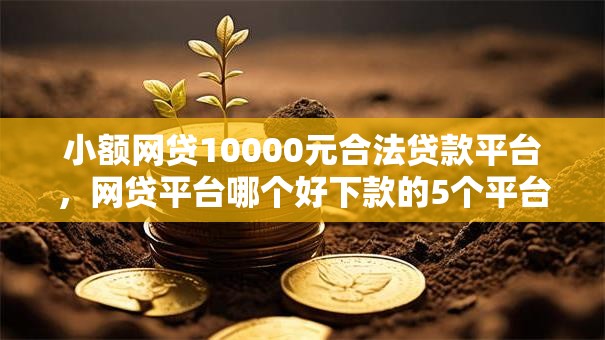 小额网贷10000元合法贷款平台，网贷平台哪个好下款的5个平台介绍