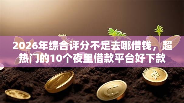 2026年综合评分不足去哪借钱，超热门的10个夜里借款平台好下款推荐