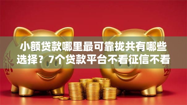 小额贷款哪里最可靠拢共有哪些选择?7个贷款平台不看征信不看逾期详解 小额贷款哪里最可靠拢共有哪些选择?7个贷款平台不看征信不看逾期详解