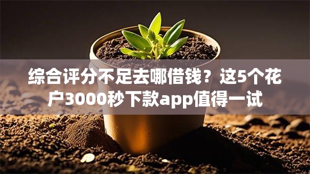 综合评分不足去哪借钱?这5个花户3000秒下款app值得一试 综合评分不足去哪借钱?这5个花户3000秒下款app值得一试