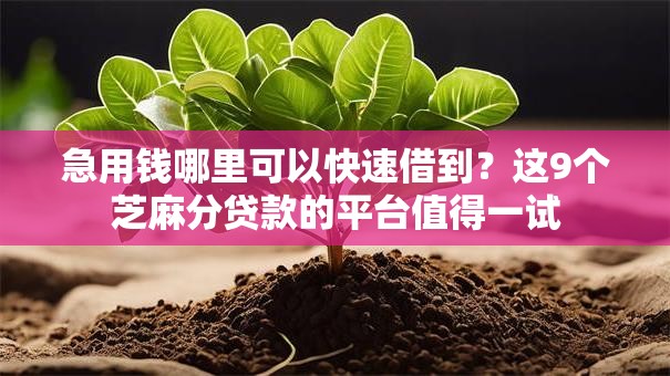 急用钱哪里可以快速借到？这9个芝麻分贷款的平台值得一试