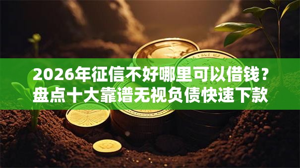2026年征信不好哪里可以借钱？盘点十大靠谱无视负债快速下款长期网贷的口子