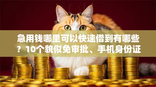 急用钱哪里可以快速借到有哪些?10个貌似免审批、手机身份证秒借现金的平台合集 急用钱哪里可以快速借到有哪些?10个貌似免审批、手机身份证秒借现金的平台合集