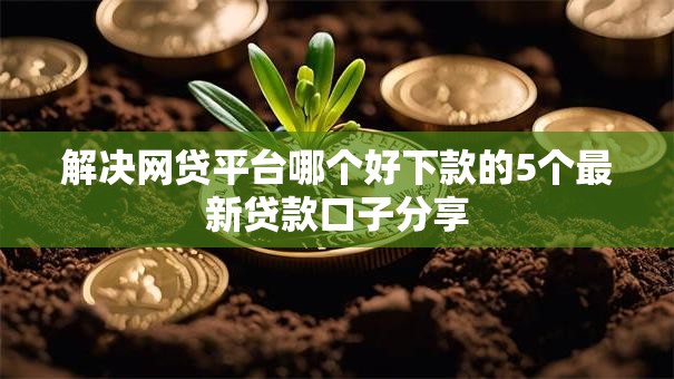 解决网贷平台哪个好下款的5个最新贷款口子分享