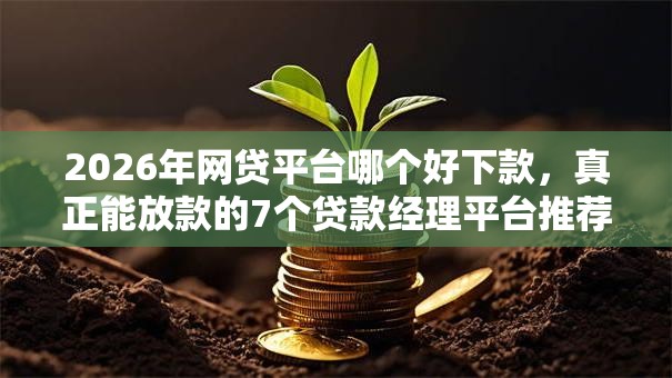 2026年网贷平台哪个好下款，真正能放款的7个贷款经理平台推荐