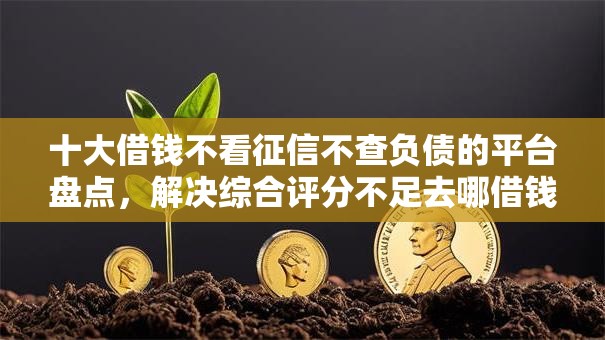 十大借钱不看征信不查负债的平台盘点，解决综合评分不足去哪借钱的问题