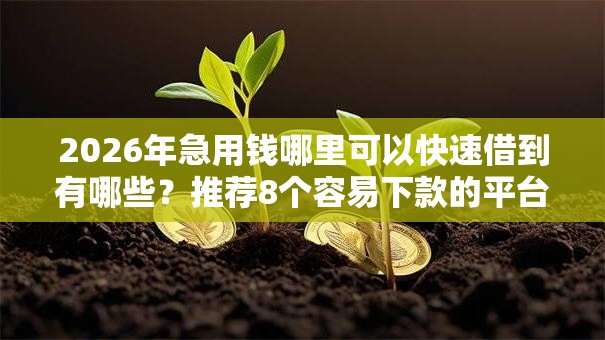 2026年急用钱哪里可以快速借到有哪些？推荐8个容易下款的平台