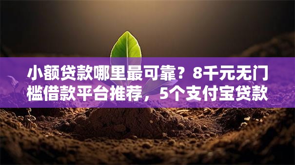 小额贷款哪里最可靠？8千元无门槛借款平台推荐，5个支付宝贷款平台盘点