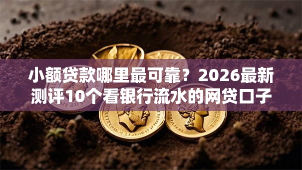 小额贷款哪里最可靠?2026最新测评10个看银行流水的网贷口子 小额贷款哪里最可靠?2026最新测评10个看银行流水的网贷口子
