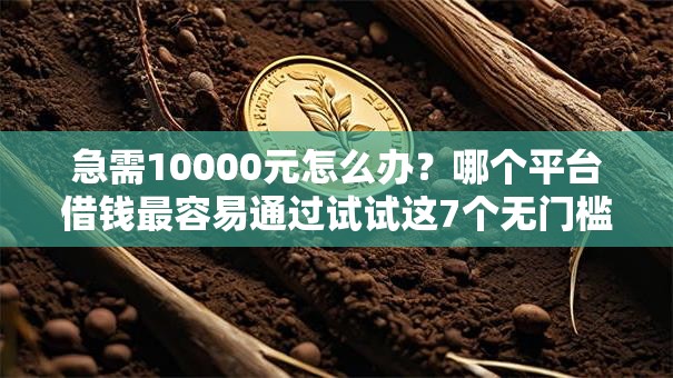 急需10000元怎么办?哪个平台借钱最容易通过试试这7个无门槛平台 急需10000元怎么办?哪个平台借钱最容易通过试试这7个无门槛平台