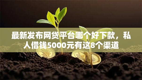 最新发布网贷平台哪个好下款,私人借钱5000元有这8个渠道 最新发布网贷平台哪个好下款,私人借钱5000元有这8个渠道